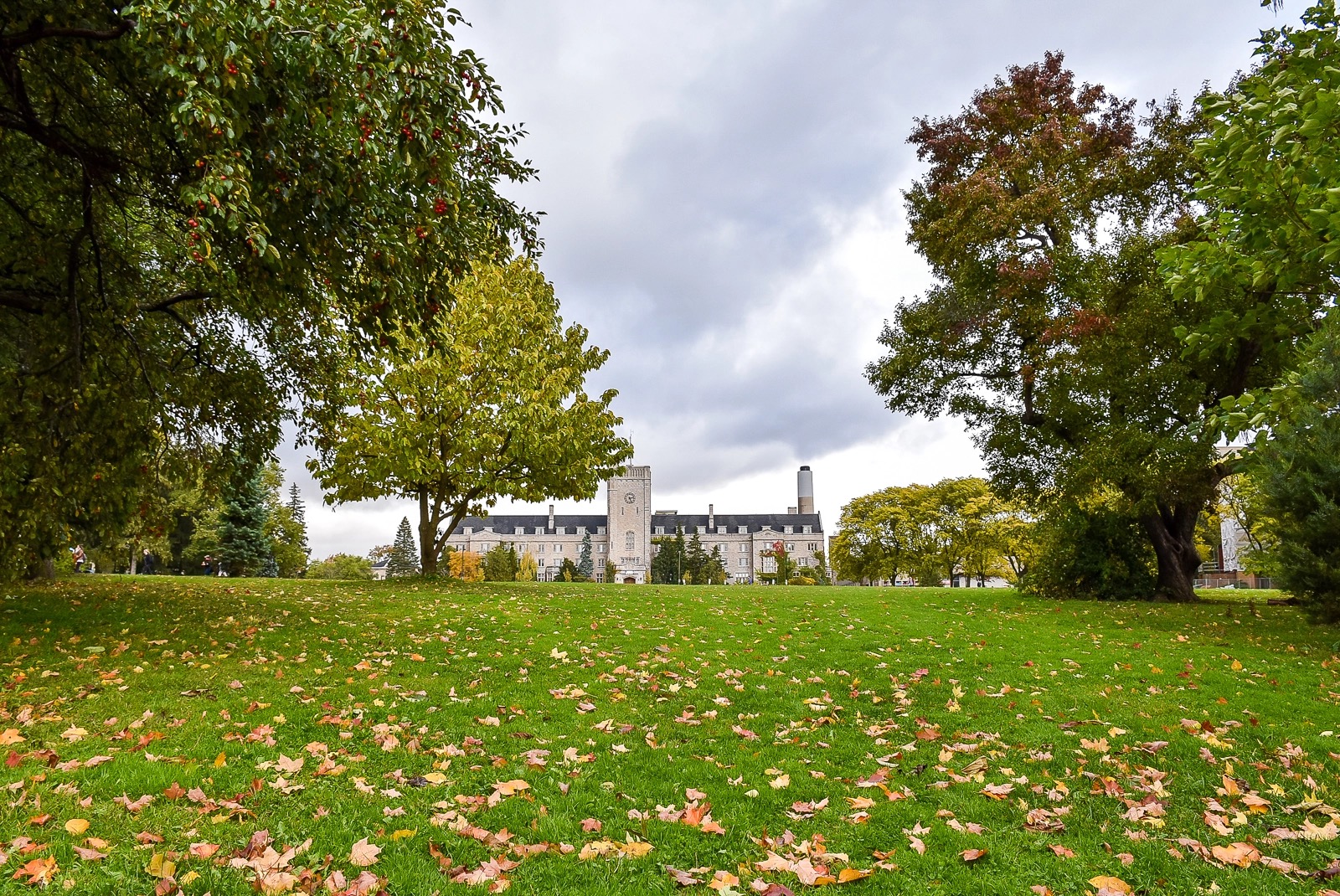 undergrad-partner-school