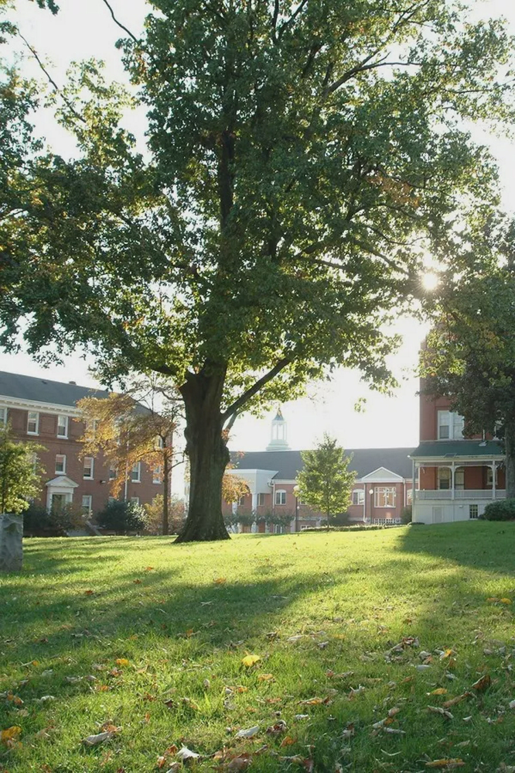 undergrad-partner-school