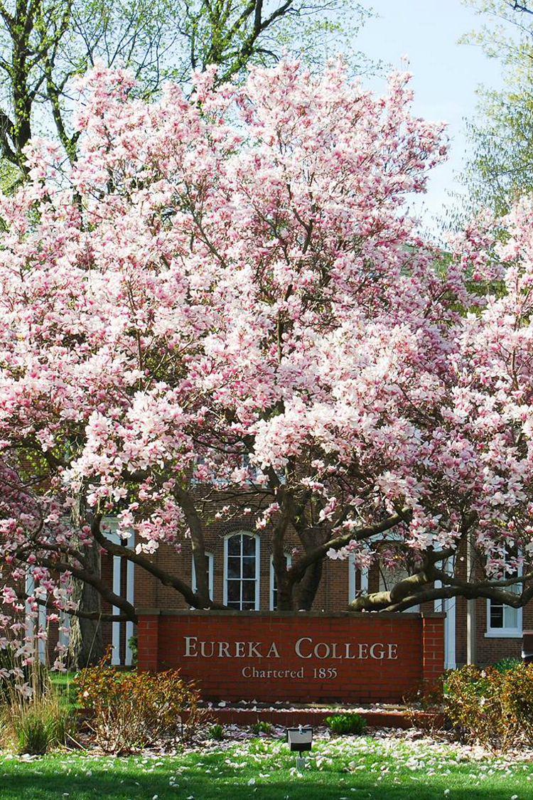 undergrad-partner-school