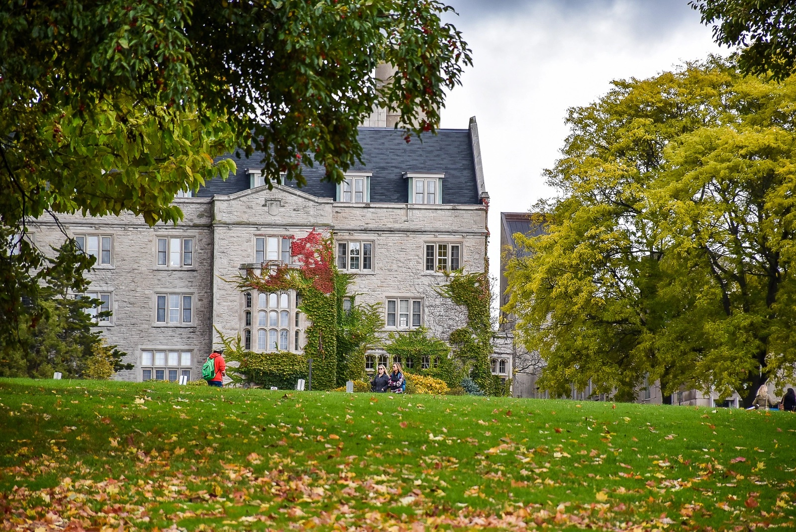 undergrad-partner-school