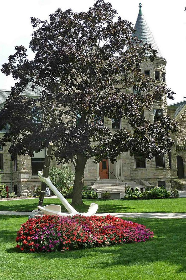 undergrad-partner-school